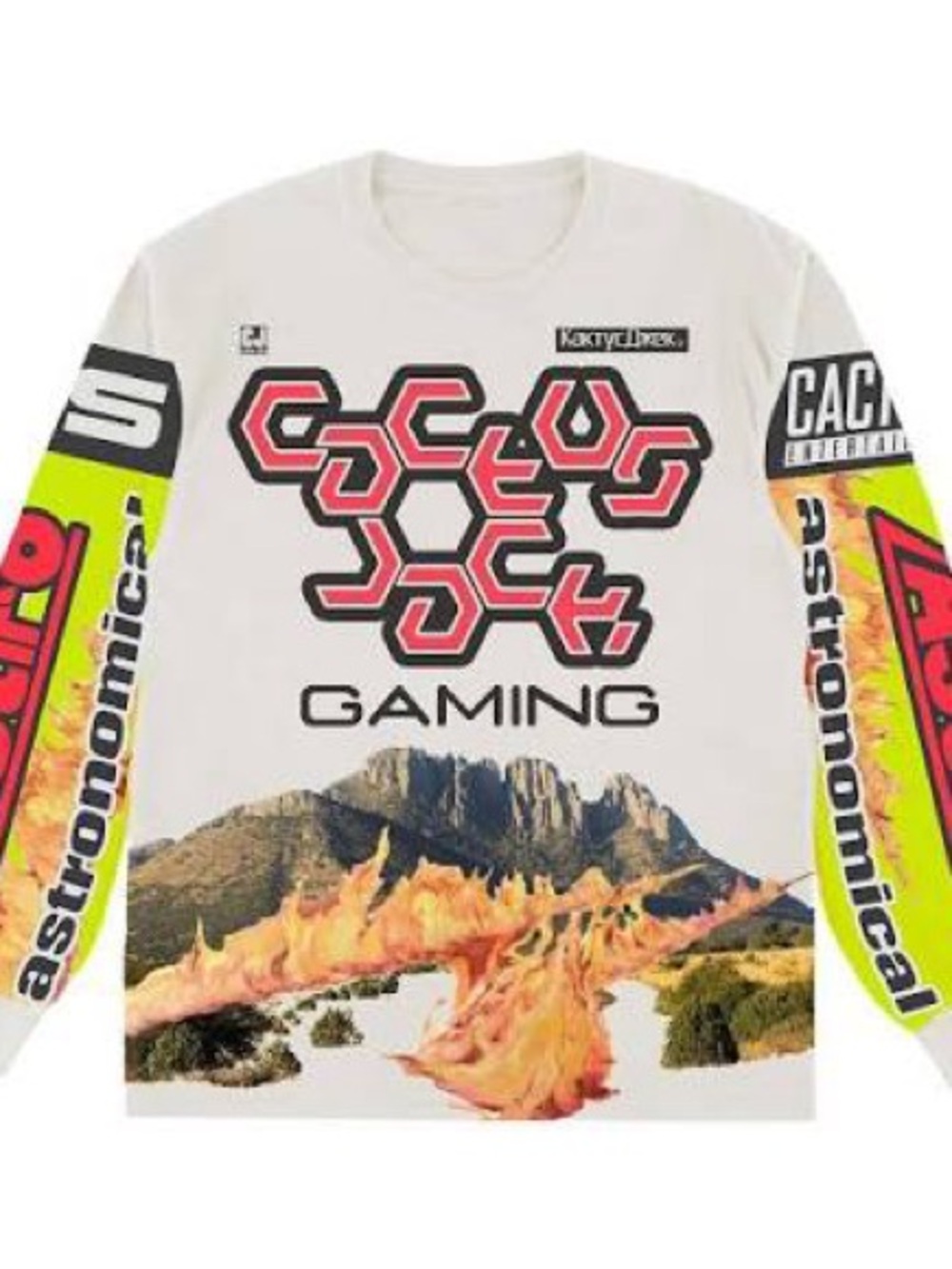 TRAVIS SCOTT Cactus Jack GAMING JERSEY